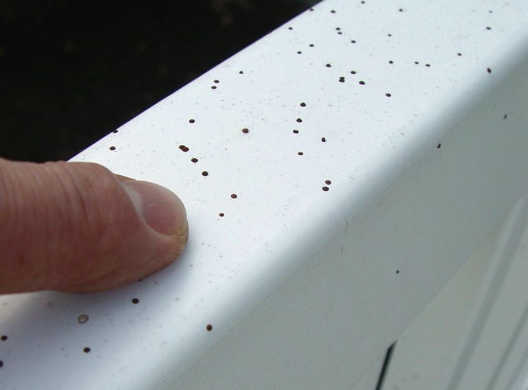 Small Black Spots on Siding – J.K. Schwartz, Inc.